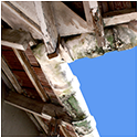 Remove harmful asbestos
