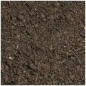 Remove harmful contaminants from soil